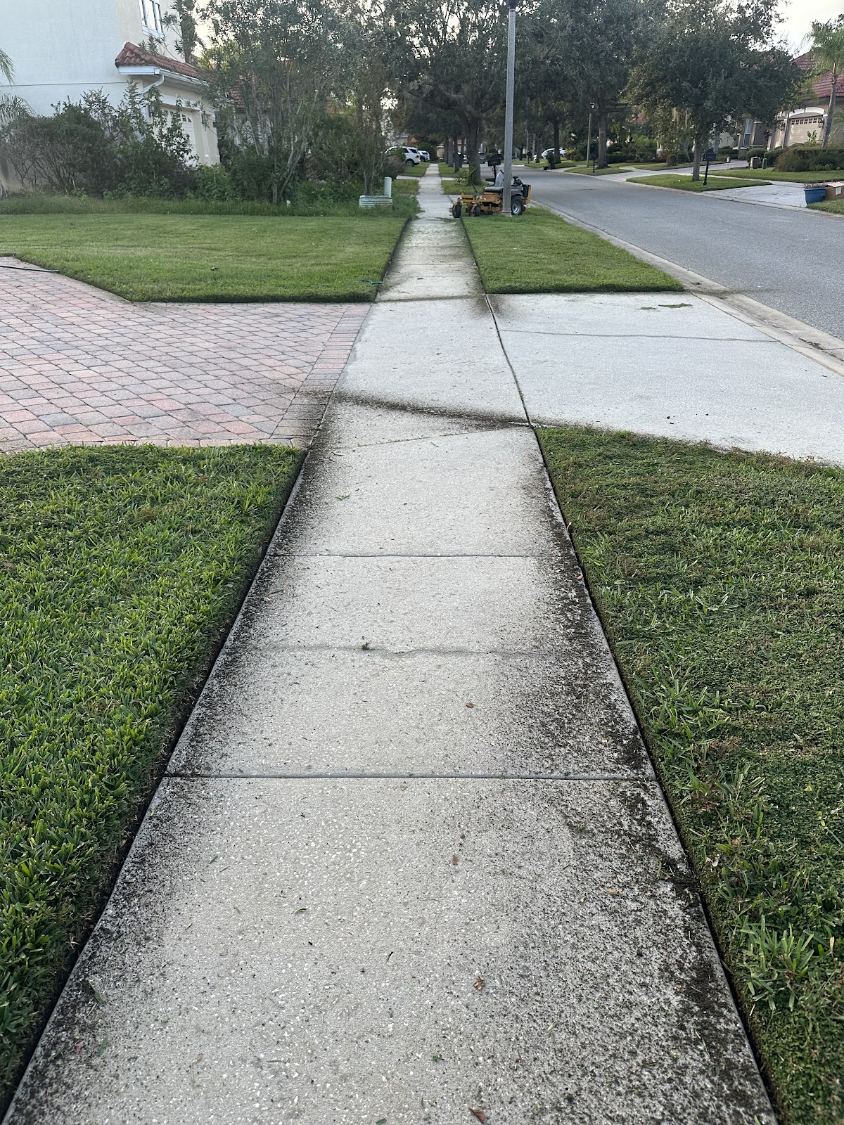 DeJesus Landscaping work