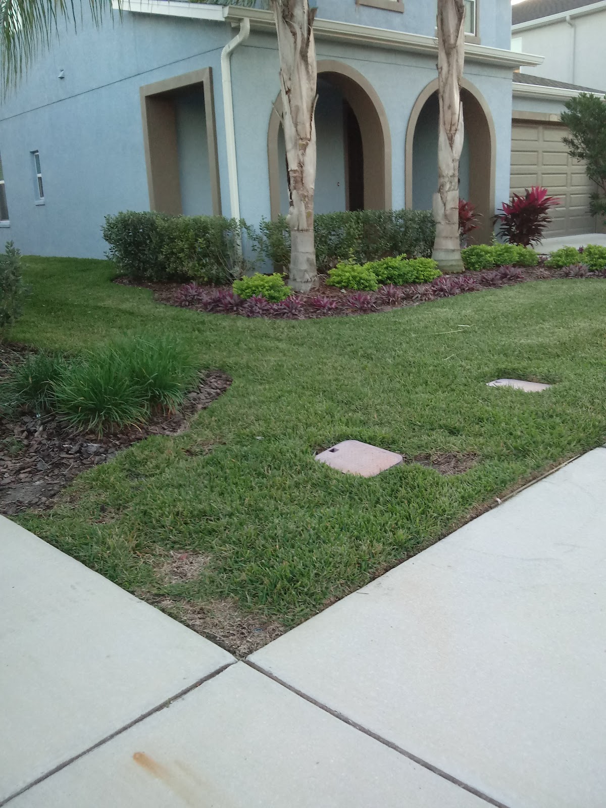 EMS LAWN work
