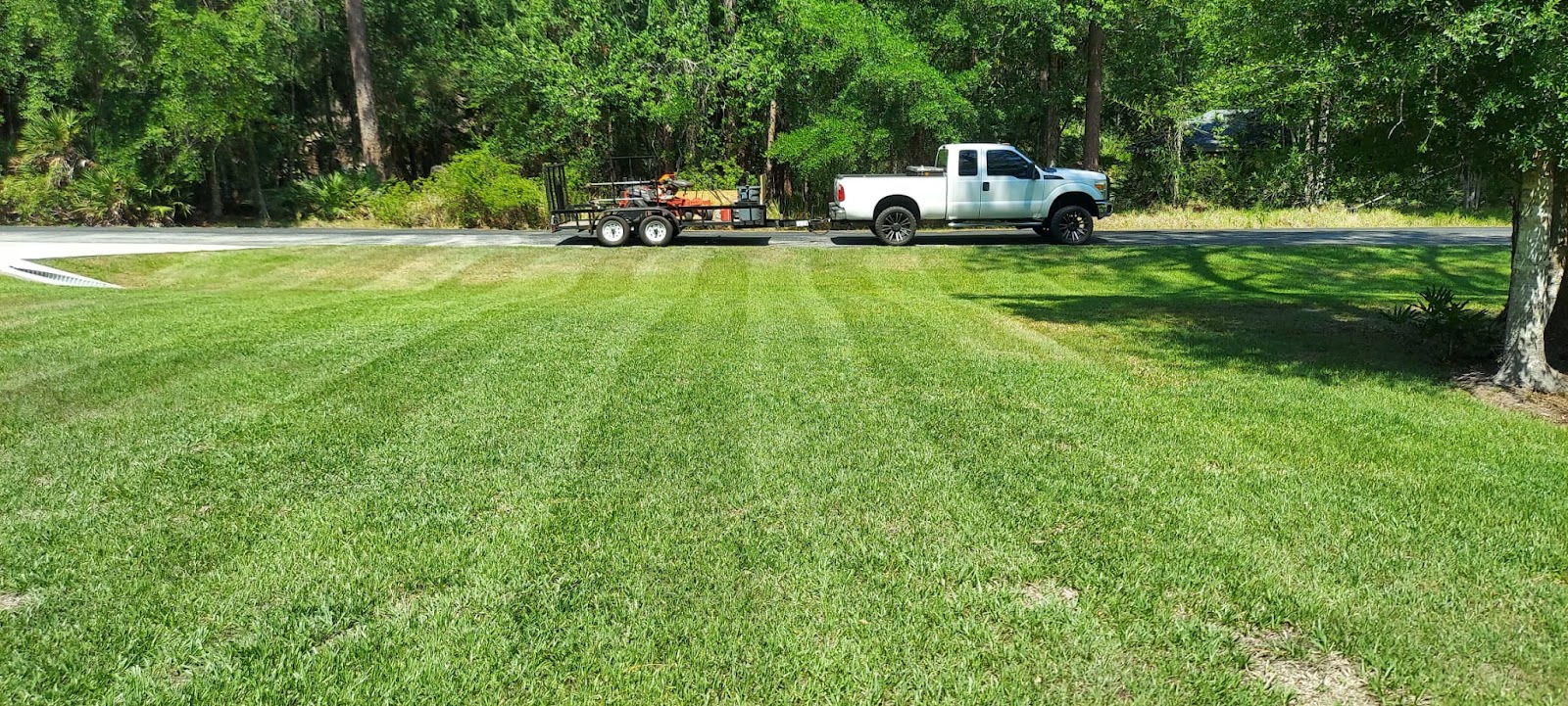 project photo