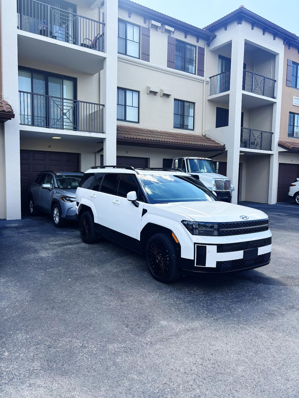 Tints and wrap Tafur work